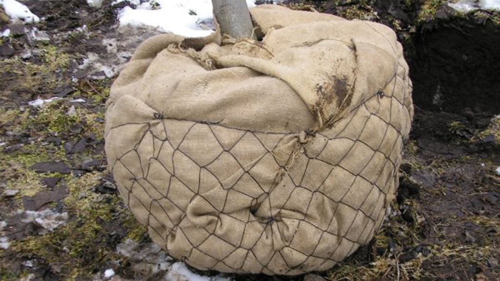 Ballierungsnetz aus Draht, Ø 200 cm (No. 8), Pack à 5 Stk.