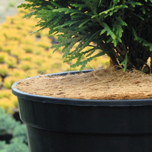 Mulchscheibe 850 g/m2, Ø 19 cm