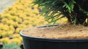 Mulchscheibe 1100 g/m2, Ø 60 cm