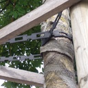 Baumbinder (Kettenbinder) No. 3, 11.4x3.8 mm, Rolle à 25 m