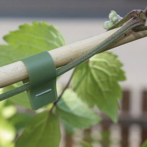 Bindeband SUPER MAX grün, 0.10 mm dick 40 m lang, 10 Rollen