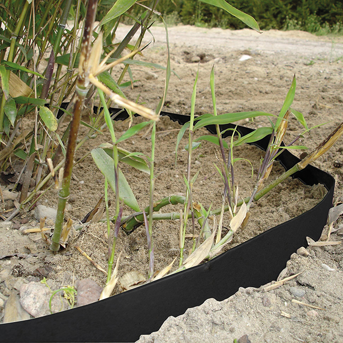 Rhizomsperre HDPE 2 mm, 25 m lang, 70 cm breit