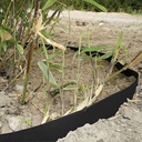 Rhizomsperre HDPE 2 mm, 25 m lang, 70 cm breit