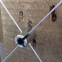 Kit palissage GRIPPLE câble inox