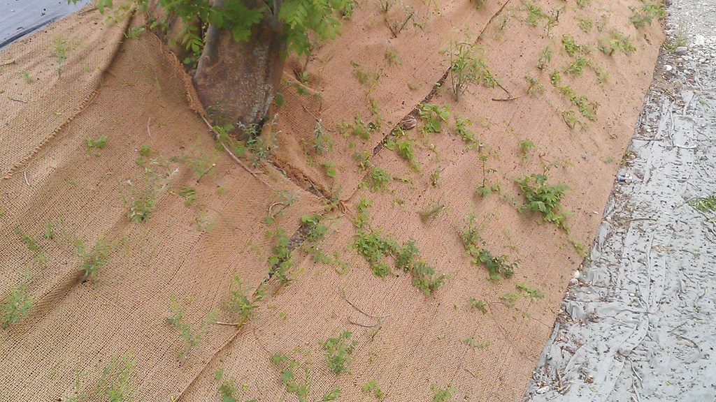 Erosionsschutzgewebe 210 g/m², 50 m lang, 200 cm breit