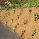 Böschungsmatte PLANTEX® COCOMAT, 540 g/m², 22.5 m lang, 120 cm breit