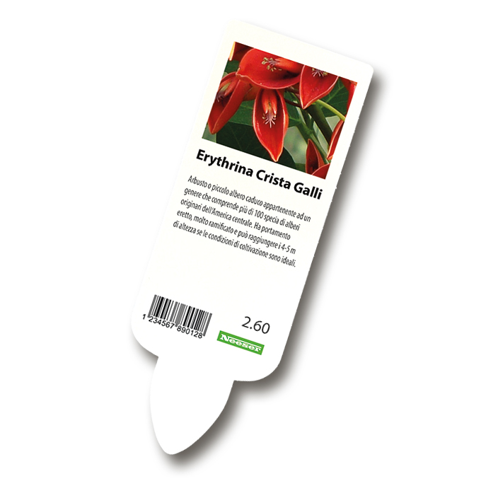 Étiquettes à ficher pour imprimante laser blanche, 50 x 140 mm, 2'000 étiquettes