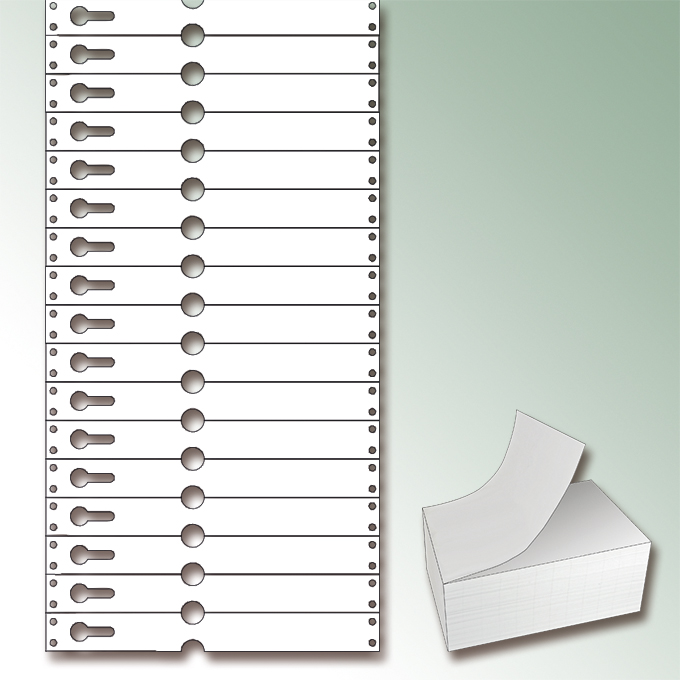 TYVEK®-Schlaufenetiketten weiss, 220 x 25.50 mm, Pack à 1'000 Etiketten