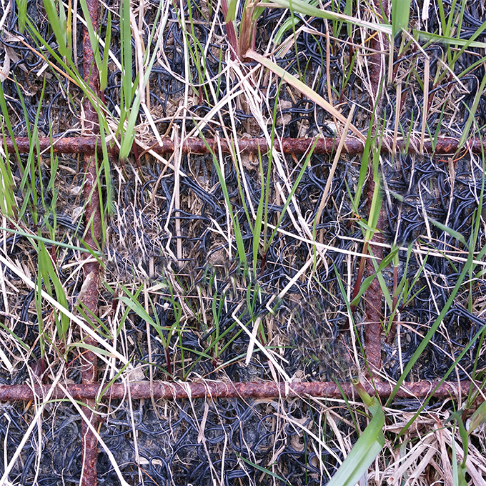 Erosionsschutz-Begrünungsmatte vorbesät 500 g/m², 205 cm breit, Rolle à 45 m