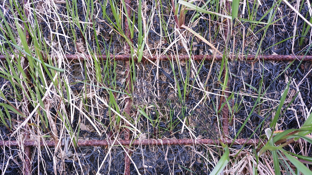 Erosionsschutz-Begrünungsmatte vorbesät 500 g/m², 205 cm breit, Rolle à 45 m