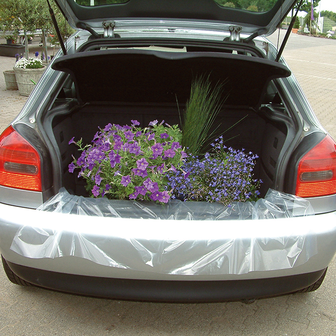 Feuille protectrice pour coffres transparent