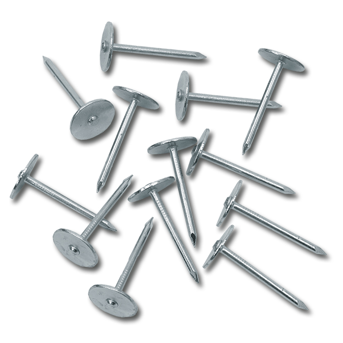 Clous de fixation pour des arbres, carton de 2.5 kg