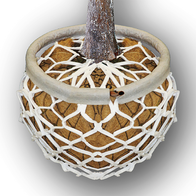 Tuyau d'arrosage BLUELITE-RING