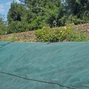 Unkrautvlies PLANTEX PLATINIUM GREEN, 240 g/m², 50 m lang, 250 cm breit