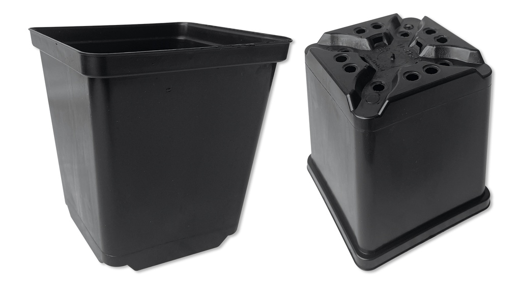 Kakteen-Container schwarz 12 x 12 x 14 cm, 270 Stück