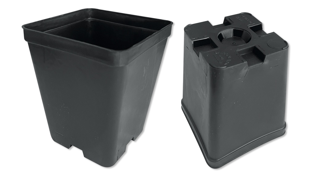 Kakteen-Container schwarz 10 x 10 x 12 cm, 450 Stück