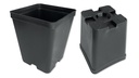 Kakteen-Container schwarz 10 x 10 x 12 cm, 450 Stück