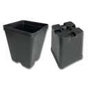 Kakteen-Container schwarz 10 x 10 x 12 cm, 450 Stück