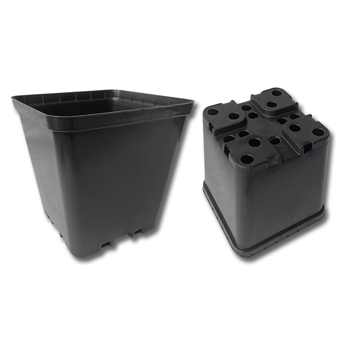 Kakteen-Container schwarz 14 x 14 x 14 cm, 240 Stück