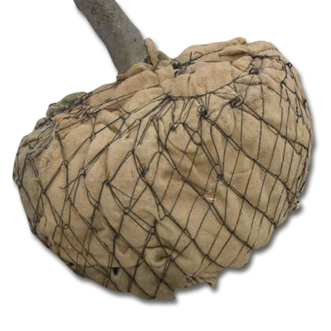 Ballierungsnetz aus Draht, Ø 60 cm (No. 3), Pack à 40 Stk.