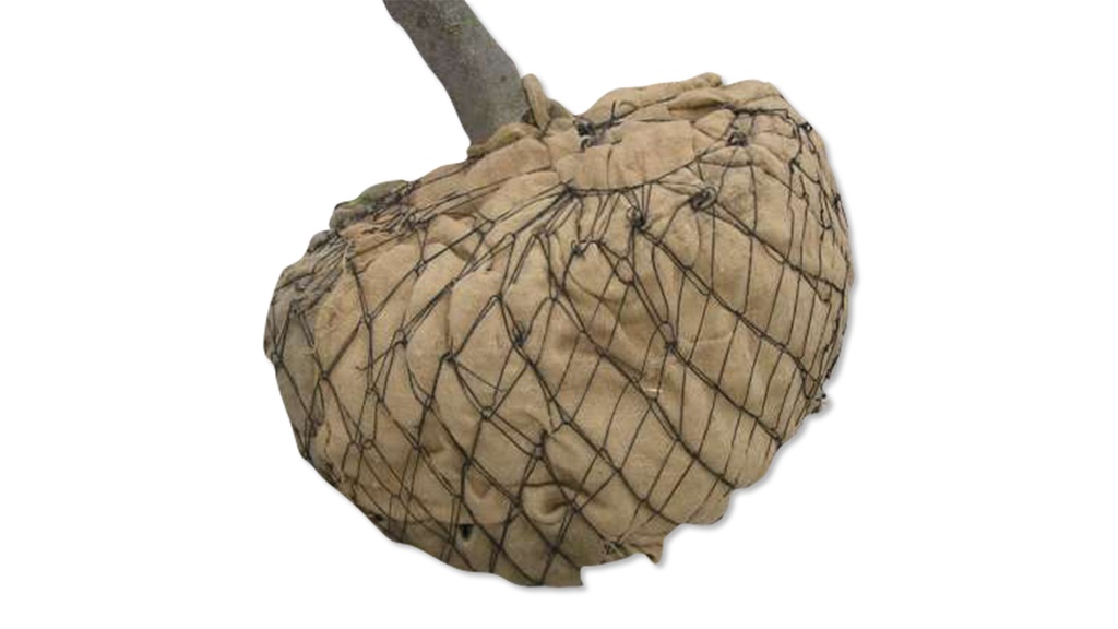 Ballierungsnetz aus Draht, Ø 70 cm (No. 4), Pack à 40 Stk.