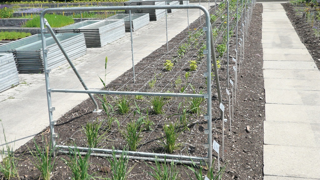 Stützen für Schnittblumen-Drahtgeflechte