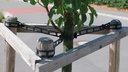 Baumband, 810 mm lang, inkl. Verbindungsteil, Btl à 50 Stück