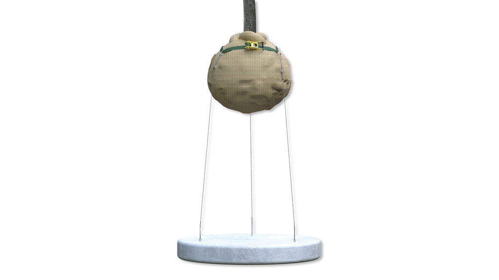 Wurzelballenverankerung GRIPPLE CFK 3 mit Ringschraube