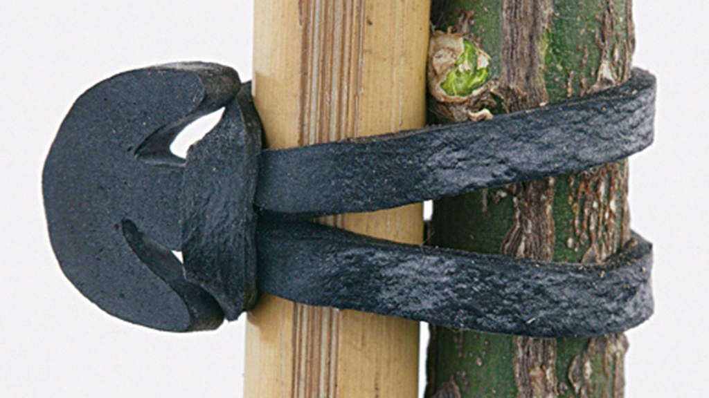 Clip de fixation en caoutchouc, 6 cm, sachet de 50 pièces