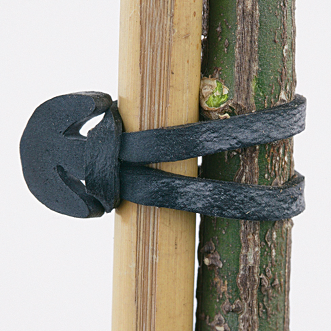 Clip de fixation en caoutchouc, 6 cm, sachet de 50 pièces