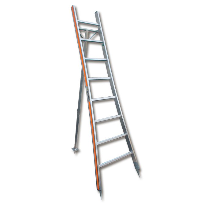 Buschbaumleiter aus Aluminium, 10 Sprossen, 3.09 m lang