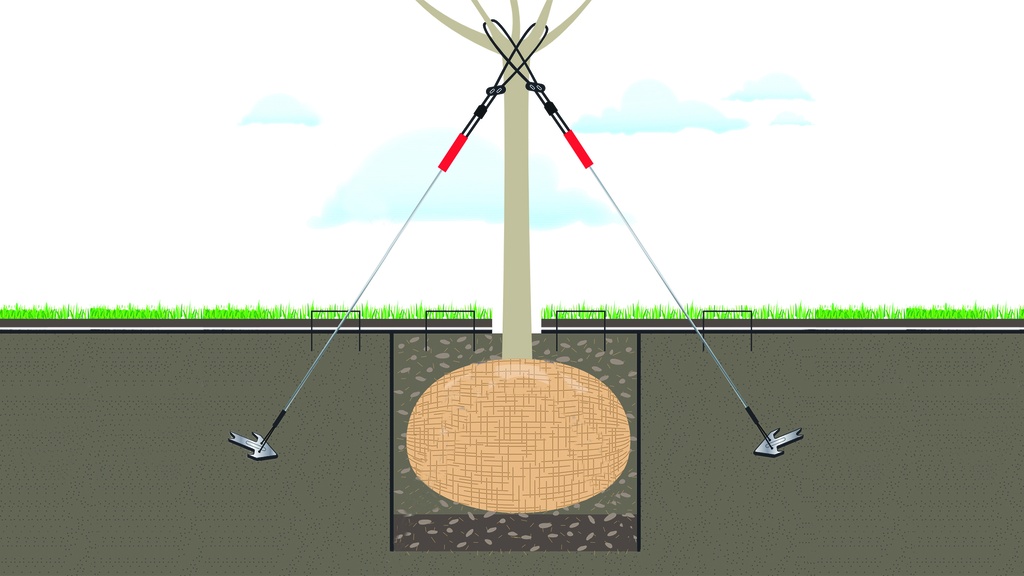 Baumverankerung, Baumhöhe 2-4.5 m