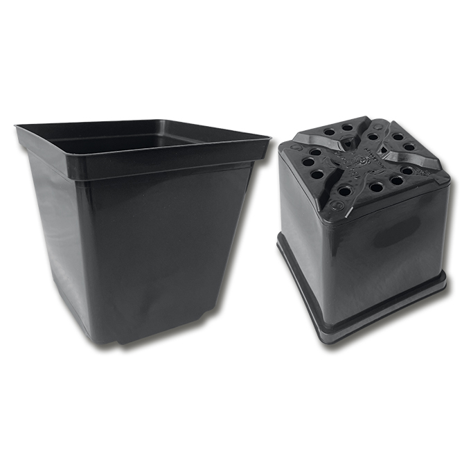 Kakteen-Container schwarz 13 x 13 x 13 cm, 420 Stück