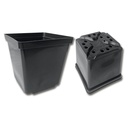 Kakteen-Container schwarz 13 x 13 x 13 cm, 420 Stück