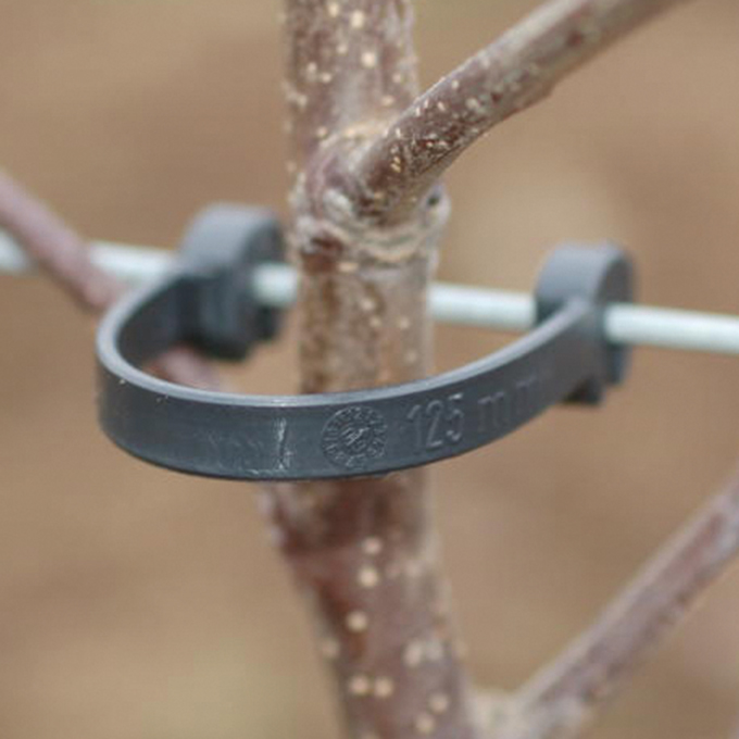 Stammhalter, 100 mm, für Draht 2.0-2.2 mm Ø