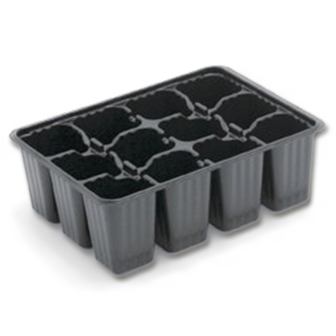 Plaques de culture 12 alvéoles