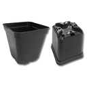 Kakteen-Container schwarz 8 x 8 x 8 cm, 1925 Stück