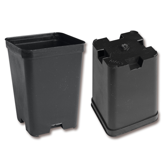 Conteneurs rectangulaires noirs 7 x 7 x 10 cm, 300 pièces