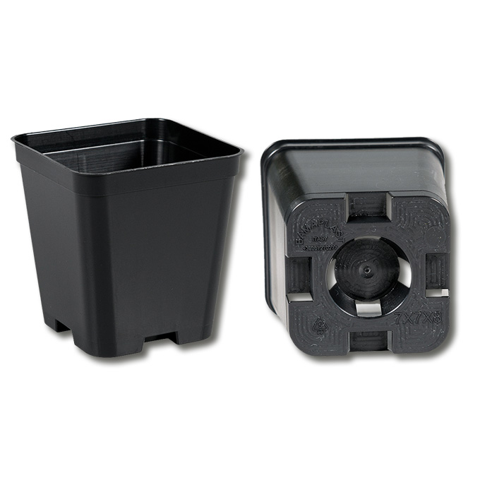 Kakteen-Container schwarz 7 x 7 x 8 cm, 600 Stück