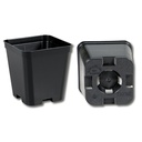 Kakteen-Container schwarz 7 x 7 x 8 cm, 600 Stück