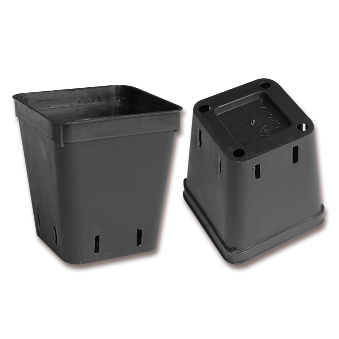 Conteneurs rectangulaires noirs 6 x 6 x 7 cm, 2000 pièces