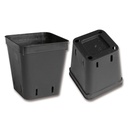 Conteneurs rectangulaires noirs 6 x 6 x 7 cm, 2000 pièces