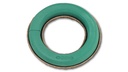 OASIS® BIOLIT® couronne 5.5 x 38 cm ø 2 pièces