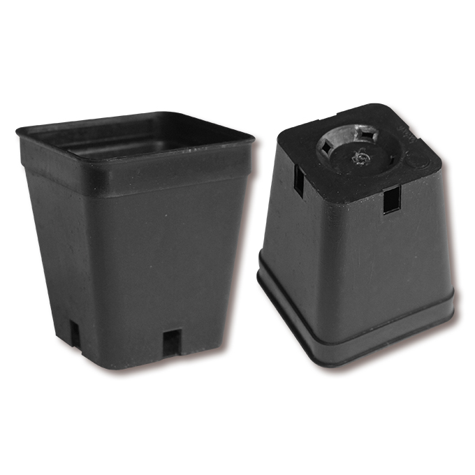 Conteneurs rectangulaires noirs 5 x 5 x 6 cm, 2700 pièces