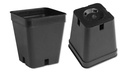Conteneurs rectangulaires noirs 5 x 5 x 6 cm, 2700 pièces