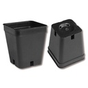 Kakteen-Container schwarz 5 x 5 x 6 cm, 2700 Stück