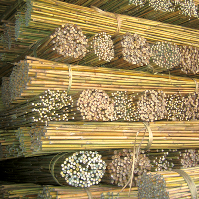 Tonkin-Stab 120 cm ø 10-12 mm, Bund à 250 Stück