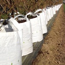 Conteneur pépinière White Bag 350 lt