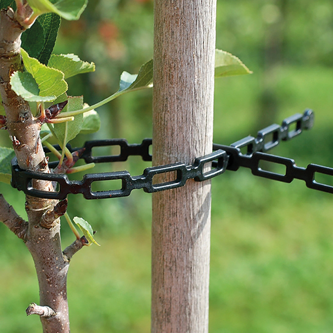 Kettenband, 570 mm lang, Beutel à 100 Stück