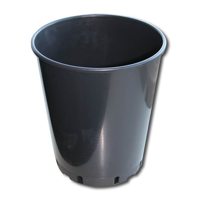 Pot rosier noir 4 lt